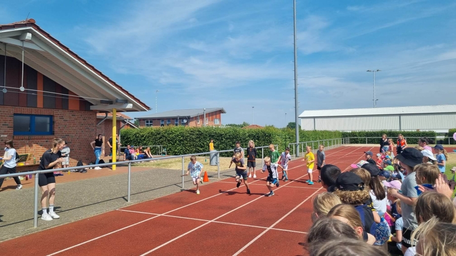 Auf die Plätze, fertig, los!