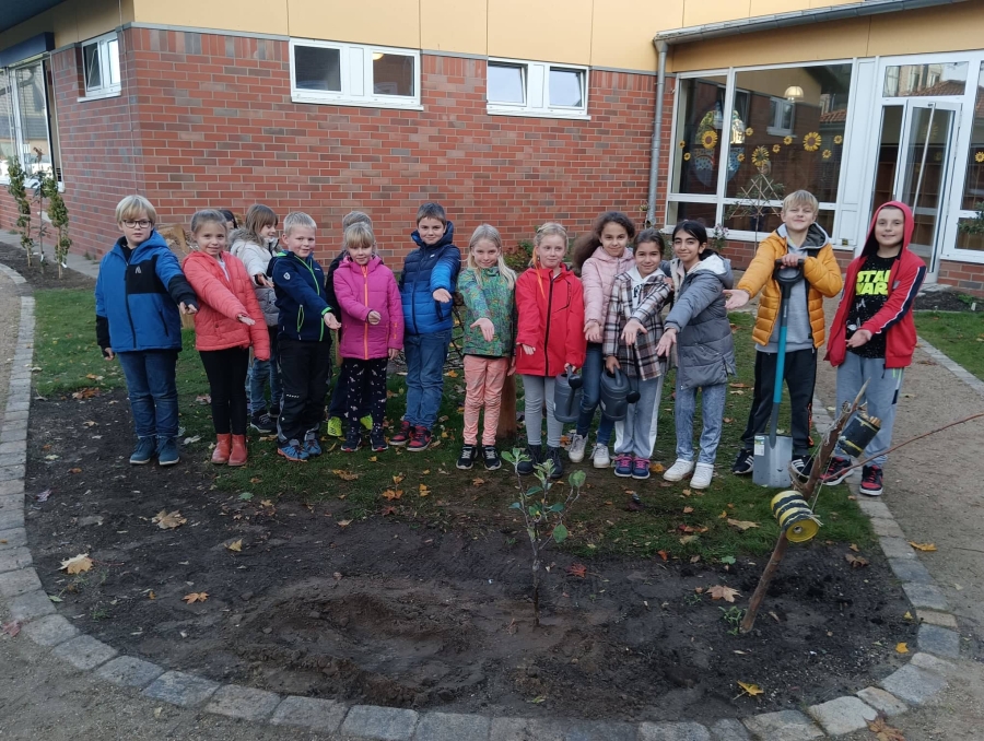 Die Schulgarten-AG gewinnt einen Apfelbaum