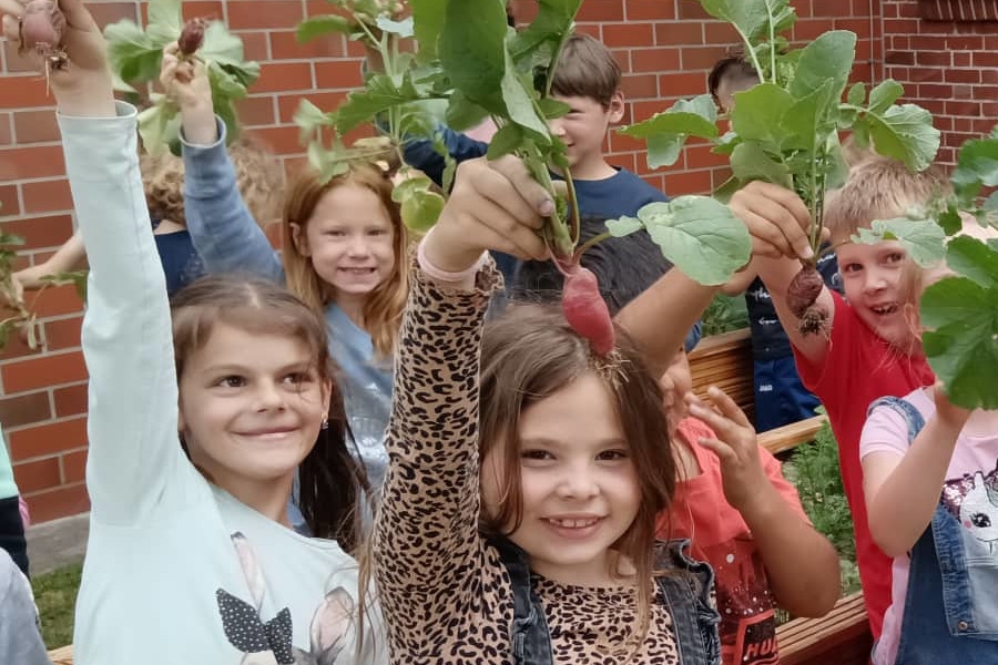 Es kreucht und fleucht im Schulgarten